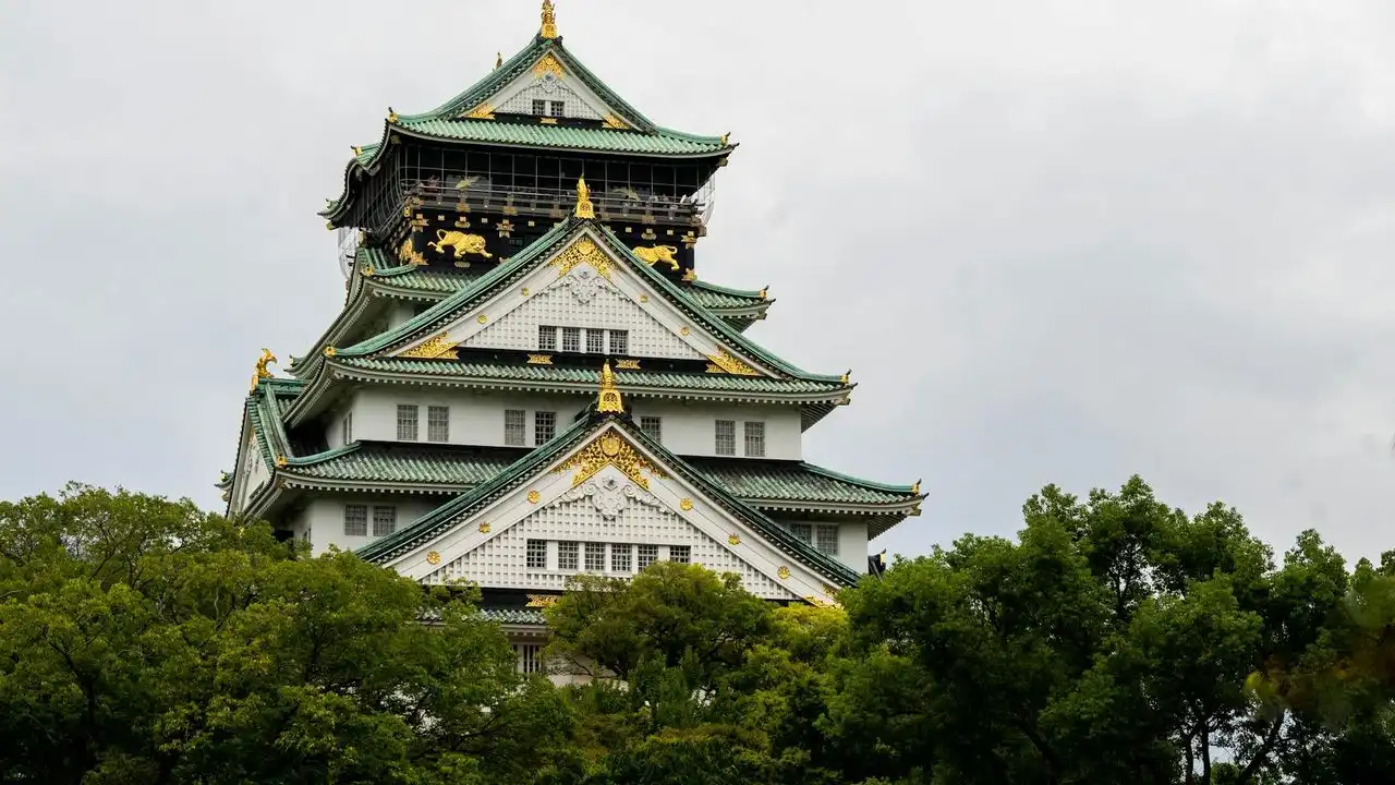 The Best Apps To Learn Japanese
