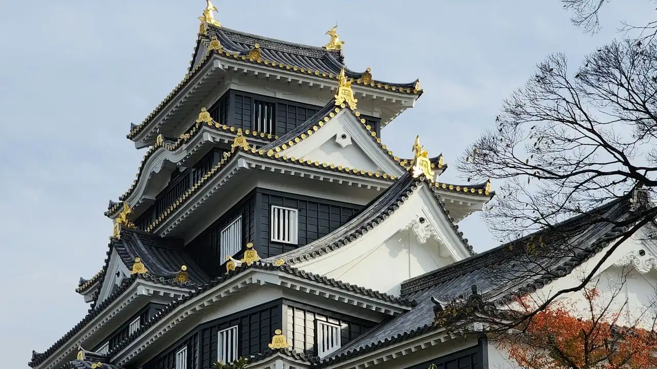 Japanese Counters Explained: Tsu, Ko, Hon, And More