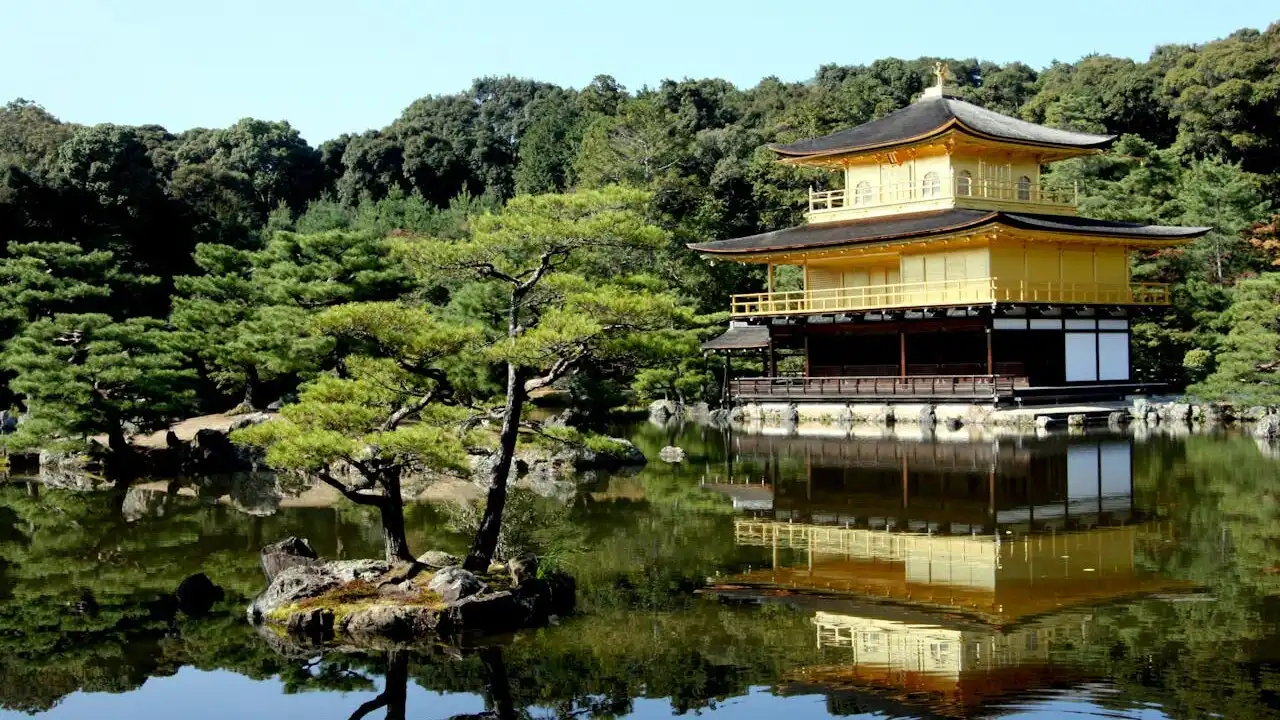 Mastering Japanese Particles (The Difference Between Wa And Ga)