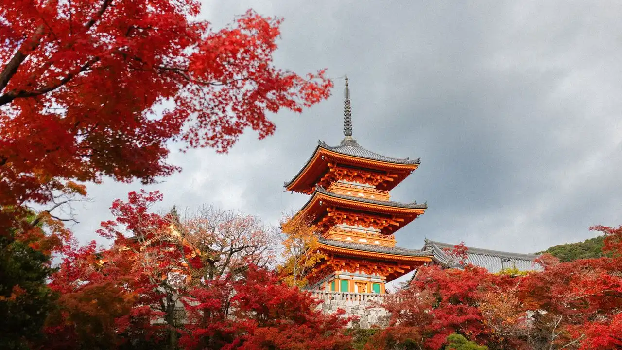 The Core Differences Between JLPT N4 And N3 Grammar
