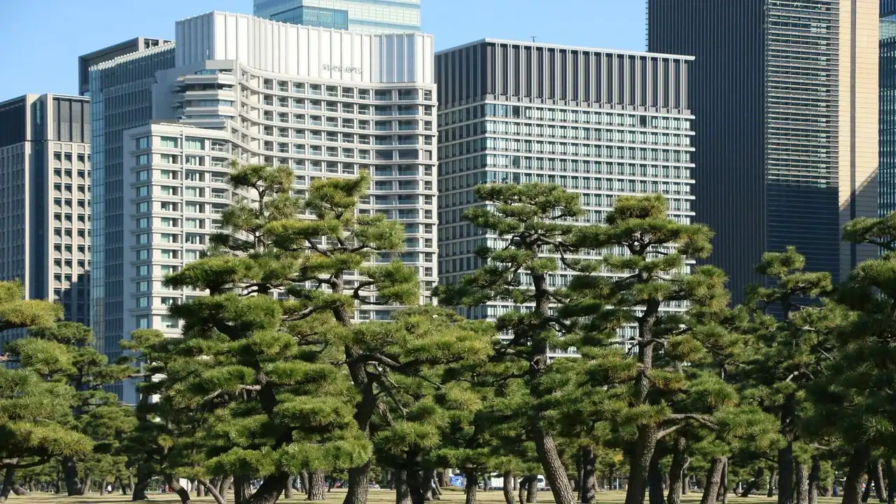 You Are Not Too Old To Learn Japanese. A Practical Approach For Adults.