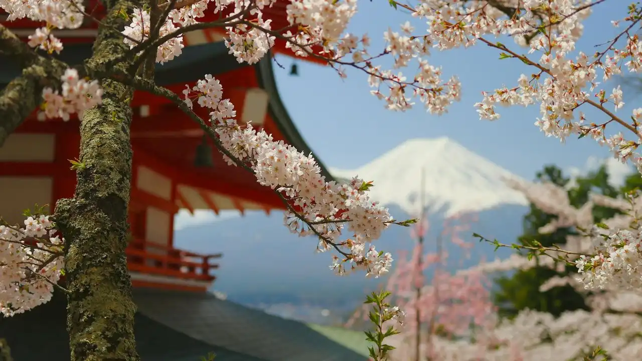 The Ultimate Roadmap For Complete Japanese Beginners