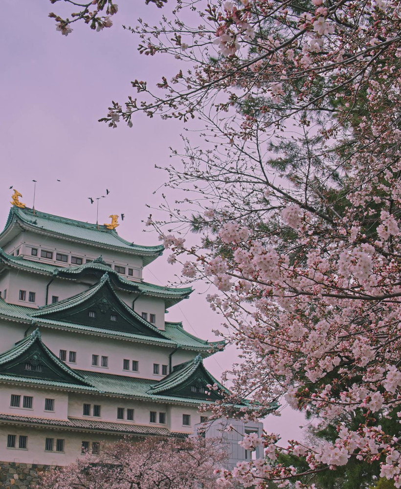 Japanese language lessons